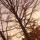 Illustration for article titled 175 Photos of Day Taken at Night